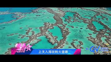 杜若溪综艺玩吊桥,杜若溪星辰大海