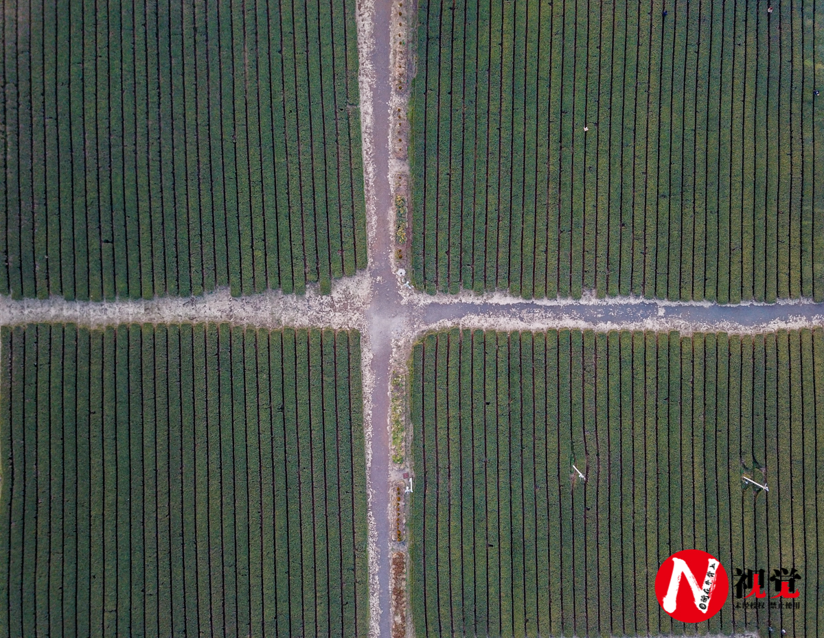 济州岛四天三晚详细攻略,四天三夜旅游攻略韩国