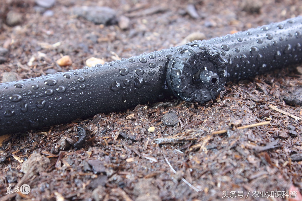 滴灌堵洞怎么堵,滴灌最好的解决方案