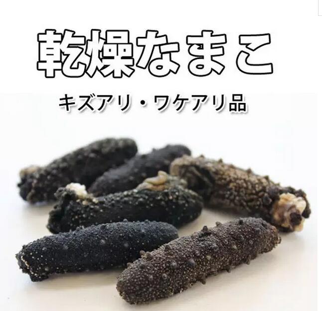 你知道世界上的鱼类有多少个,你知道的海底世界有多少种鱼