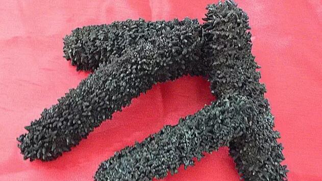 你知道世界上的鱼类有多少个,你知道的海底世界有多少种鱼