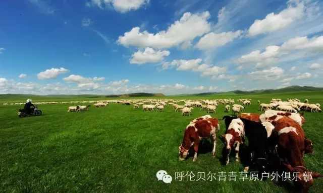 呼伦贝尔旅游自由行攻略,第一次呼伦贝尔自由行