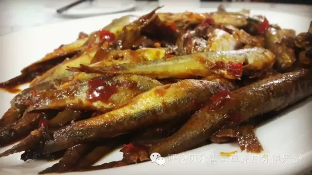 呼伦贝尔旅游自由行攻略,第一次呼伦贝尔自由行