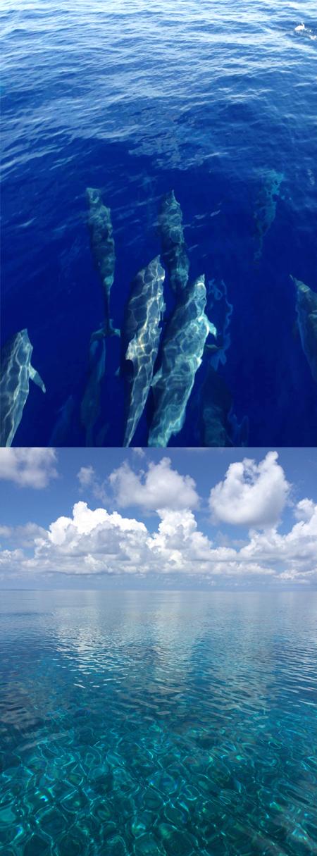 椹潵瑗夸簹娲涘厠灏间簹閽撳満,椹潵瑗夸簹閽撳満