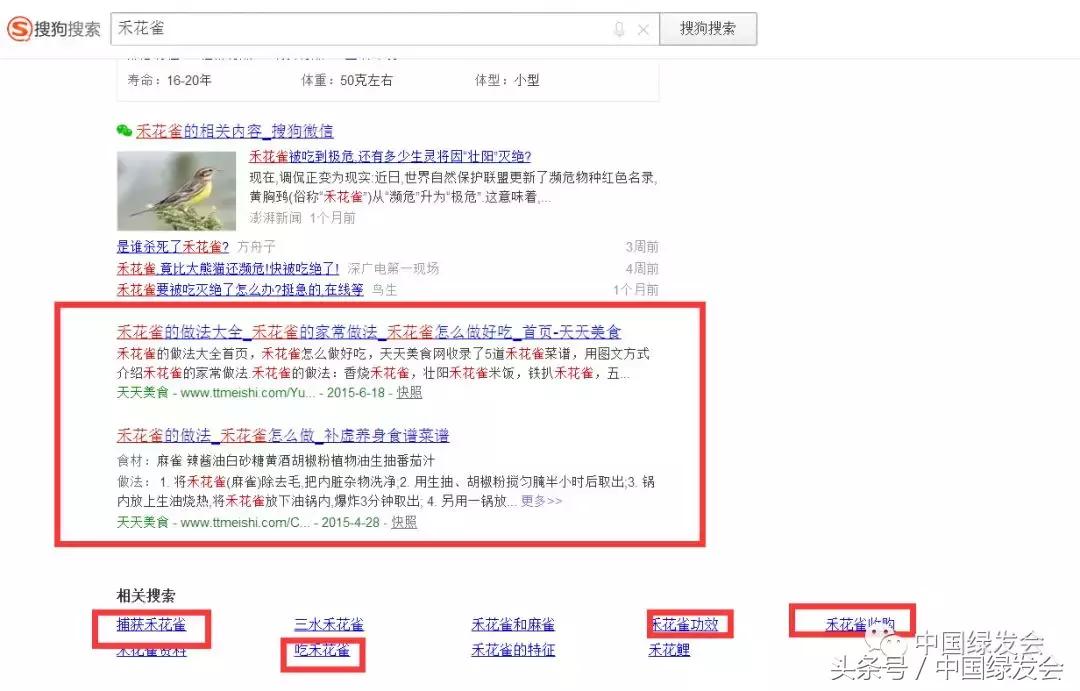 禾花雀搜索对比｜看百度搜狗360必应的社会责任和对用户意见的反应