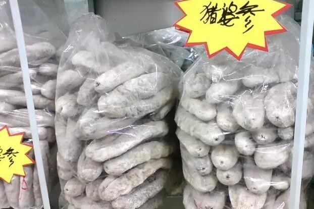 你知道世界上的鱼类有多少个,你知道的海底世界有多少种鱼