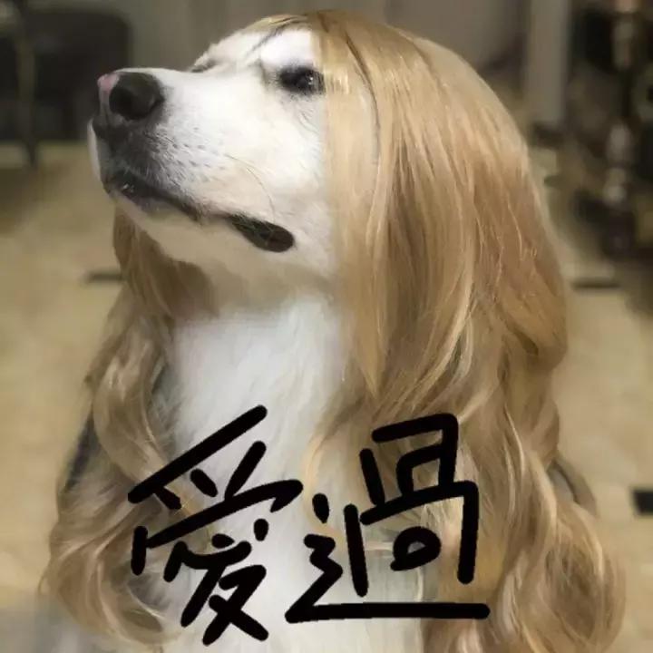 吃遍鹤壁大街小巷的小港，被大伾路这家店深深的套路了！