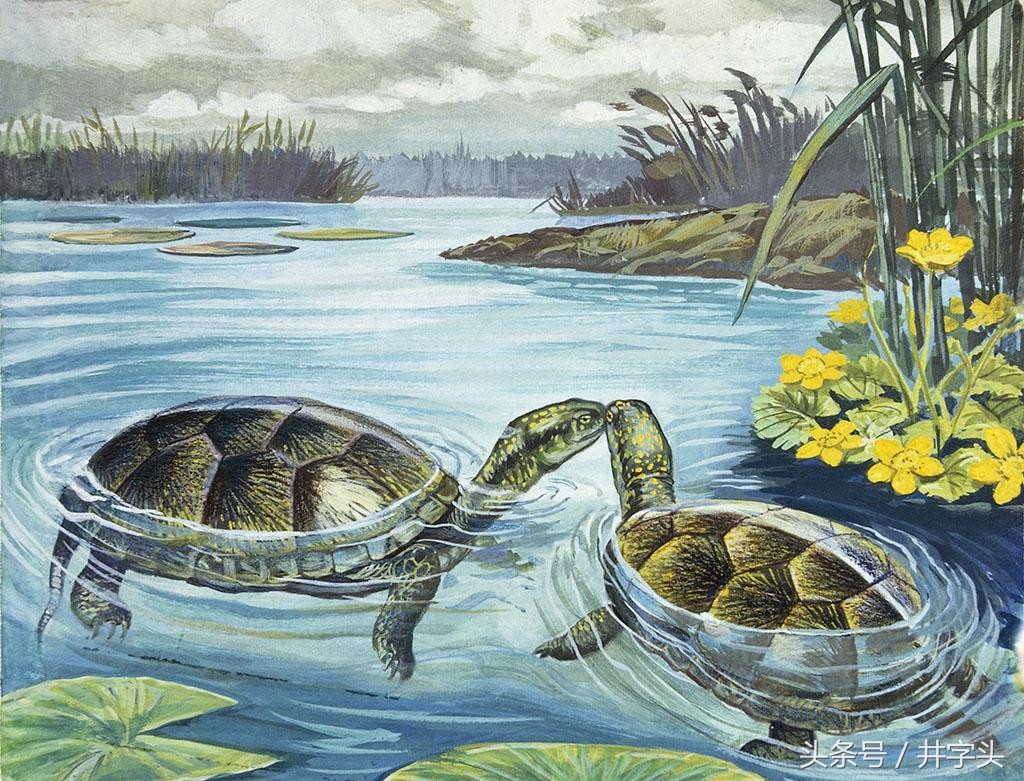 养生导引术都有什么功法,养生十二导引功法