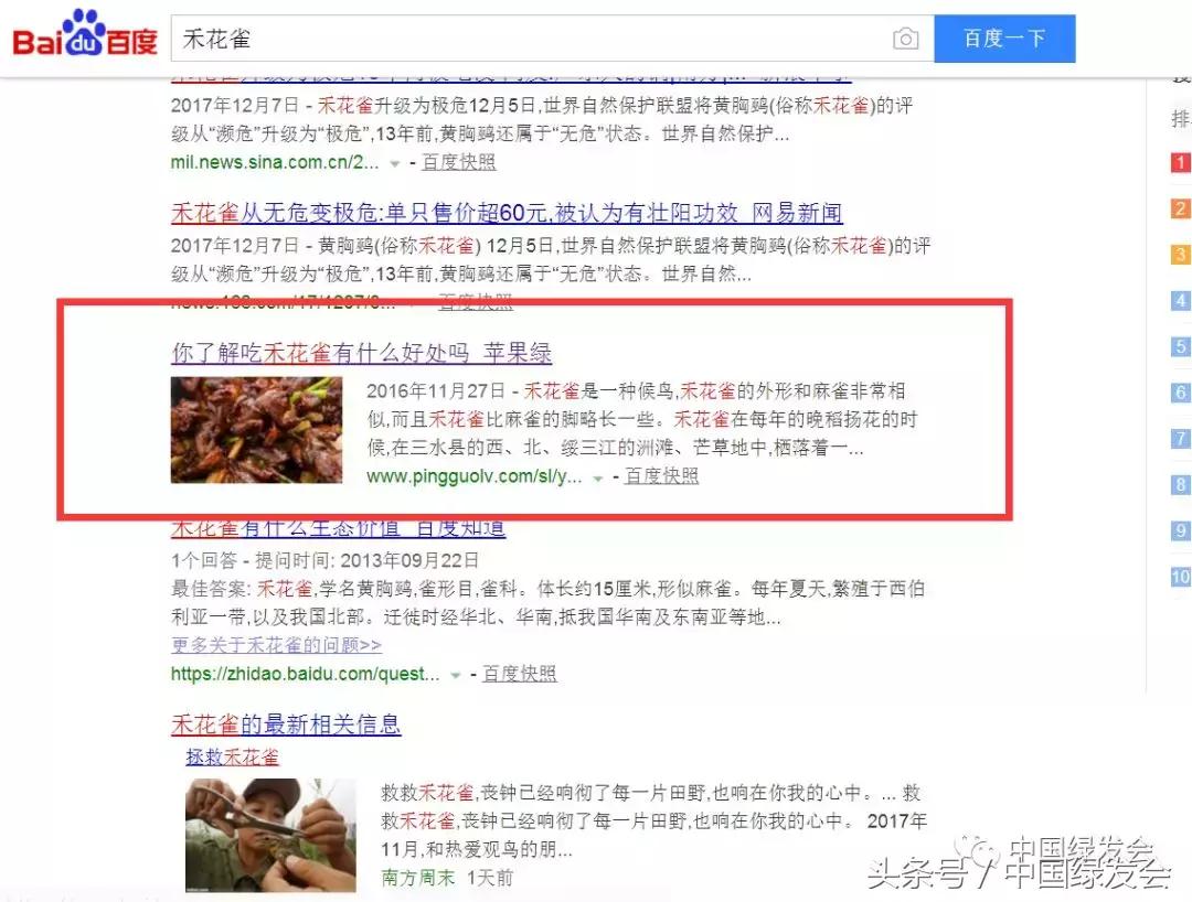 禾花雀搜索对比｜看百度搜狗360必应的社会责任和对用户意见的反应