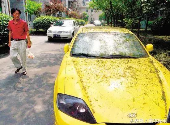 这5个习惯对车子的损耗真的很大,这4个常见用车坏习惯赶紧自查