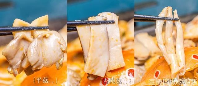 广州本周末活动,深圳近期周末活动