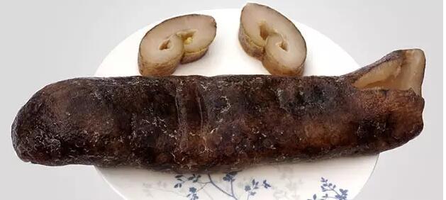 你知道世界上的鱼类有多少个,你知道的海底世界有多少种鱼