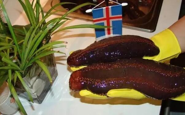 你知道世界上的鱼类有多少个,你知道的海底世界有多少种鱼