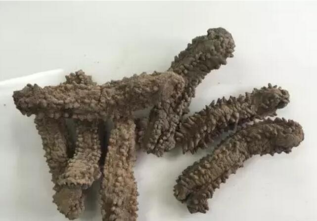 你知道世界上的鱼类有多少个,你知道的海底世界有多少种鱼