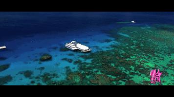 杜若溪综艺玩吊桥,杜若溪星辰大海