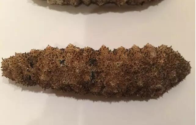 你知道世界上的鱼类有多少个,你知道的海底世界有多少种鱼