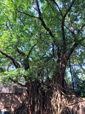 3000块钱能去香港玩几天,3000块玩遍东北