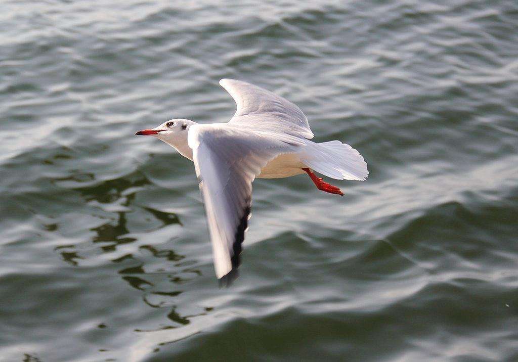 驿站之家——让你体验真实的昆明人生活！