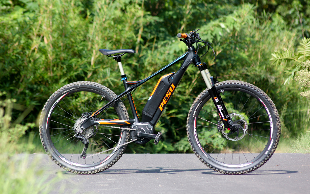 电助力自行车推荐品牌大全,10000元左右电助力自行车