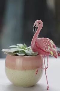 广州本周末活动,深圳近期周末活动