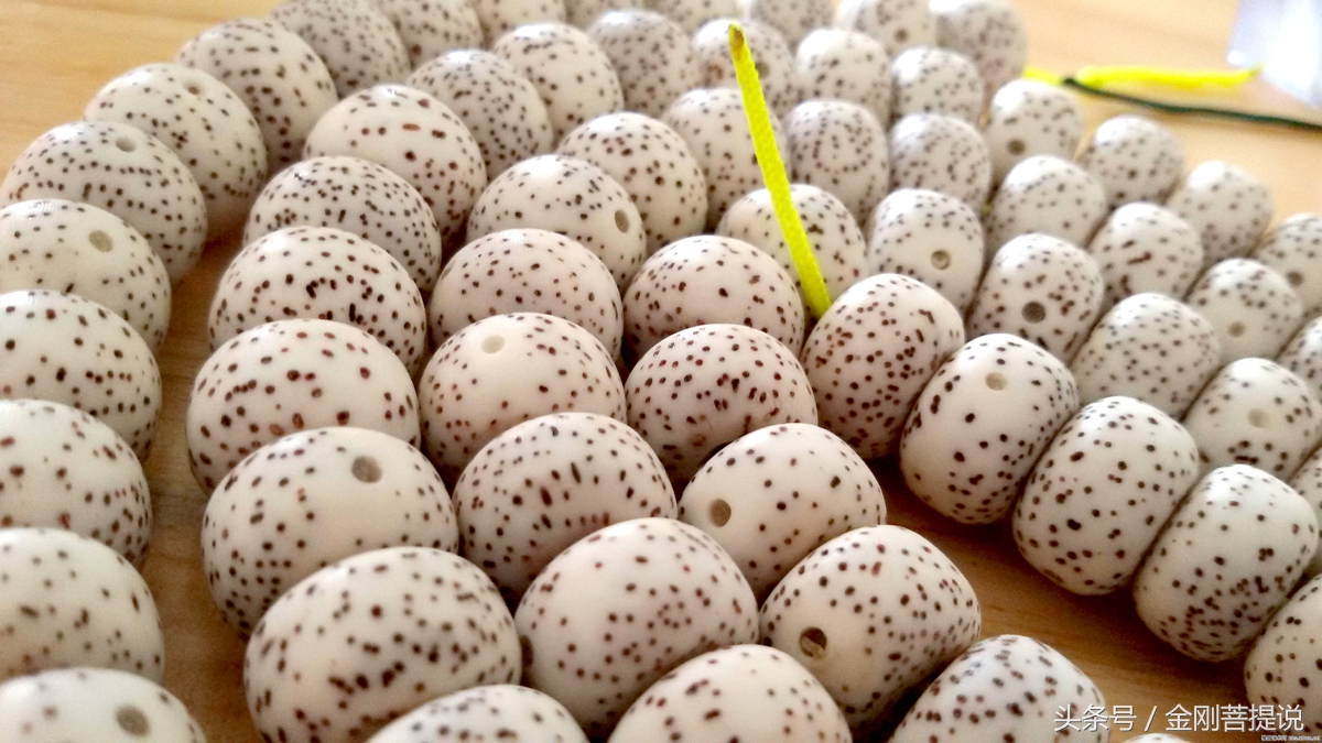 最好的星月菩提是什么样,最好的星月菩提是什么样的