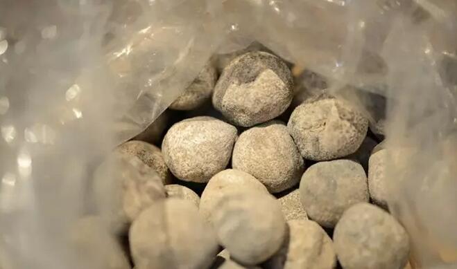 你知道世界上的鱼类有多少个,你知道的海底世界有多少种鱼