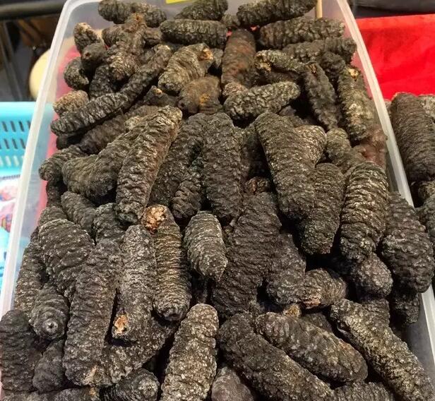 你知道世界上的鱼类有多少个,你知道的海底世界有多少种鱼