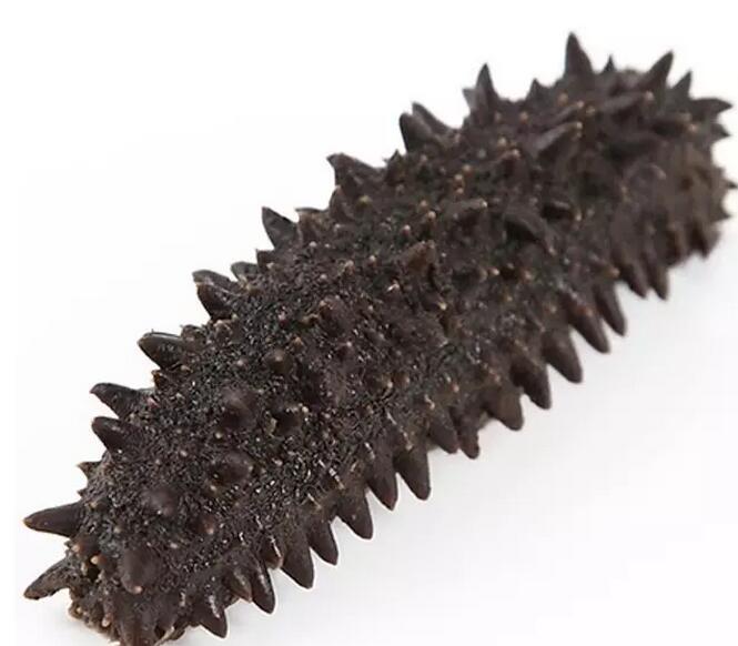 你知道世界上的鱼类有多少个,你知道的海底世界有多少种鱼