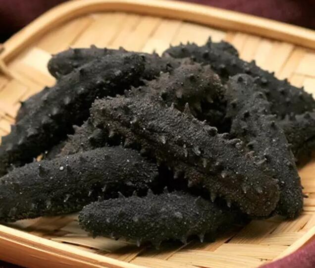 你知道世界上的鱼类有多少个,你知道的海底世界有多少种鱼