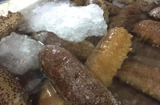 你知道世界上的鱼类有多少个,你知道的海底世界有多少种鱼