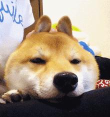 跳一跳跳跳跳跳跳跳跳跳跳跳跳跳跳