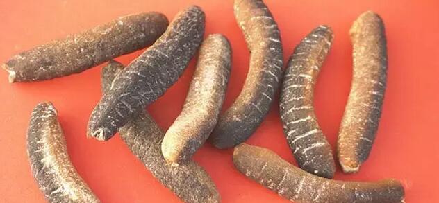 你知道世界上的鱼类有多少个,你知道的海底世界有多少种鱼