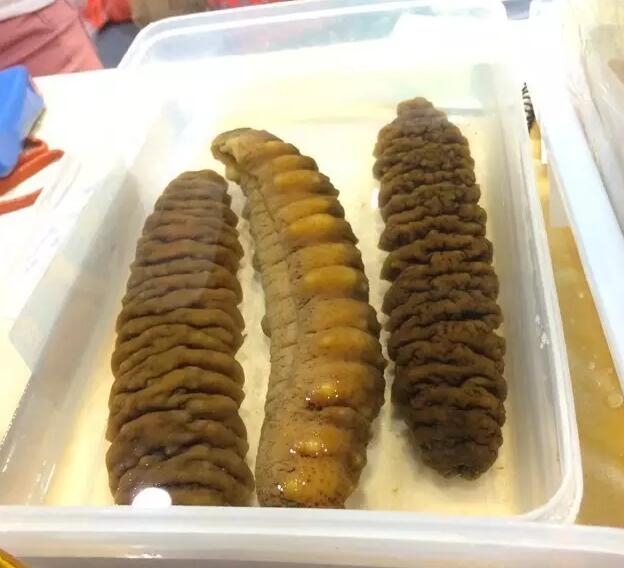 你知道世界上的鱼类有多少个,你知道的海底世界有多少种鱼