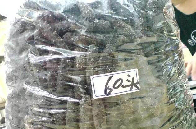 你知道世界上的鱼类有多少个,你知道的海底世界有多少种鱼