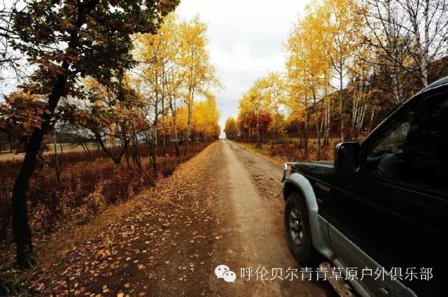 呼伦贝尔旅游自由行攻略,第一次呼伦贝尔自由行