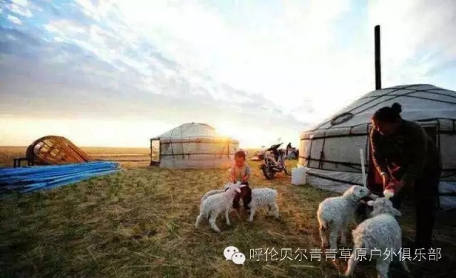 呼伦贝尔旅游自由行攻略,第一次呼伦贝尔自由行