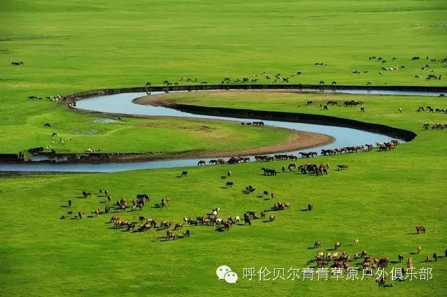 呼伦贝尔旅游自由行攻略,第一次呼伦贝尔自由行