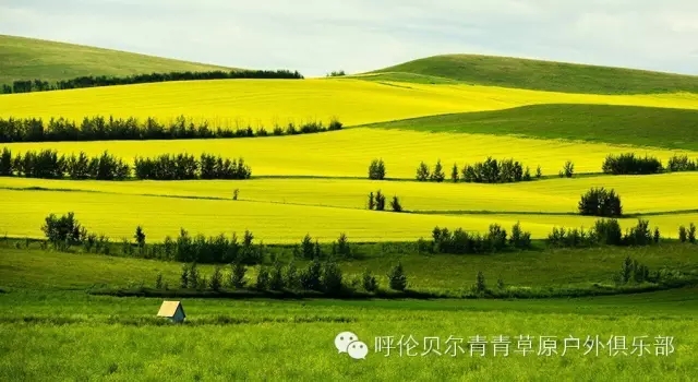 呼伦贝尔旅游自由行攻略,第一次呼伦贝尔自由行