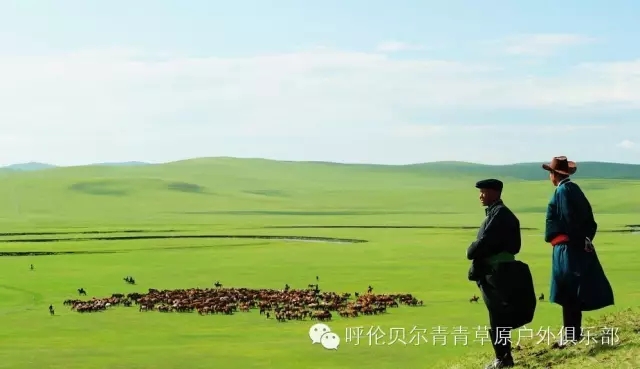 呼伦贝尔旅游自由行攻略,第一次呼伦贝尔自由行