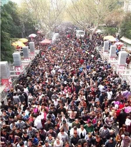 这个周末，除了食博会，淮北人还有一件大事，那就是