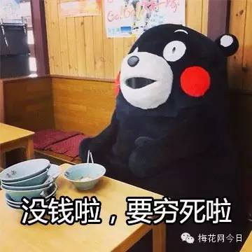 尔康表情包绿幕,尔康表情包原片段