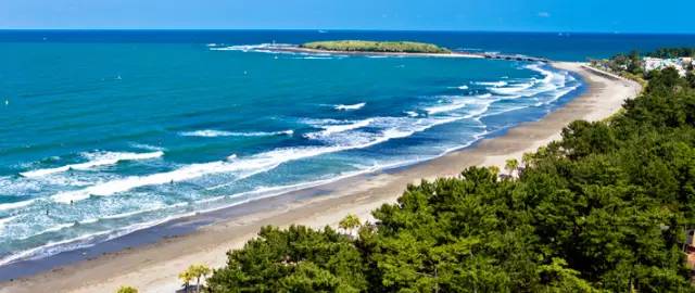 青岛海军节景点免费,青岛旅游景点免费政策