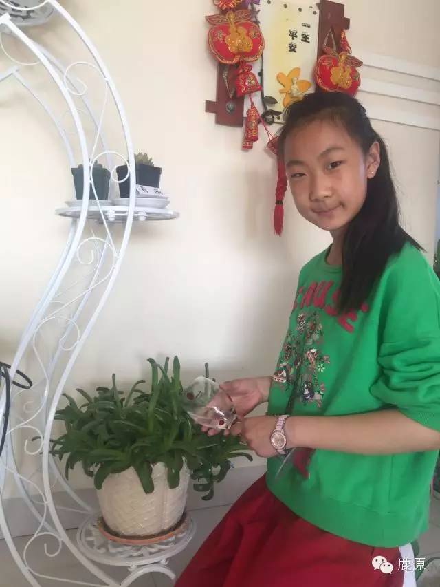 小学组散文13‖包钢实验二小王皓然、西北门小学李嘉兴、包钢实验二小靳超予、包钢实验二小李哲屹