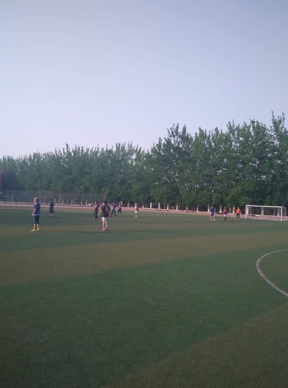 竞彩足球战报,战报主场5-0