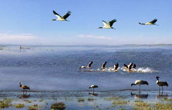 贵州景区免费100天游玩攻略大全,2022五一贵州免费的旅游景点