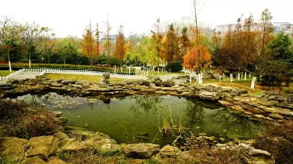 青岛海军节景点免费,青岛旅游景点免费政策