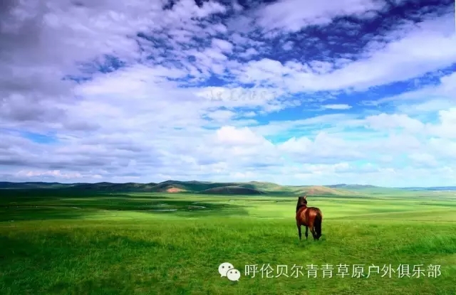 呼伦贝尔旅游自由行攻略,第一次呼伦贝尔自由行