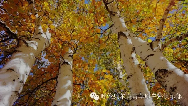 呼伦贝尔旅游自由行攻略,第一次呼伦贝尔自由行