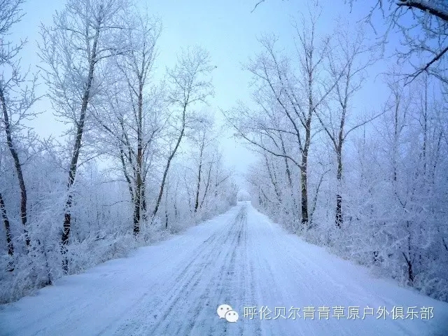 呼伦贝尔旅游自由行攻略,第一次呼伦贝尔自由行