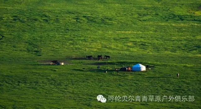 呼伦贝尔旅游自由行攻略,第一次呼伦贝尔自由行